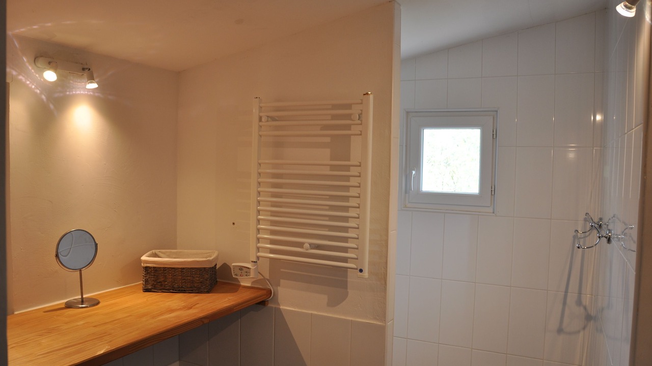 Photo of Bathroom in Saint-Sauveur-de-Cruzieres