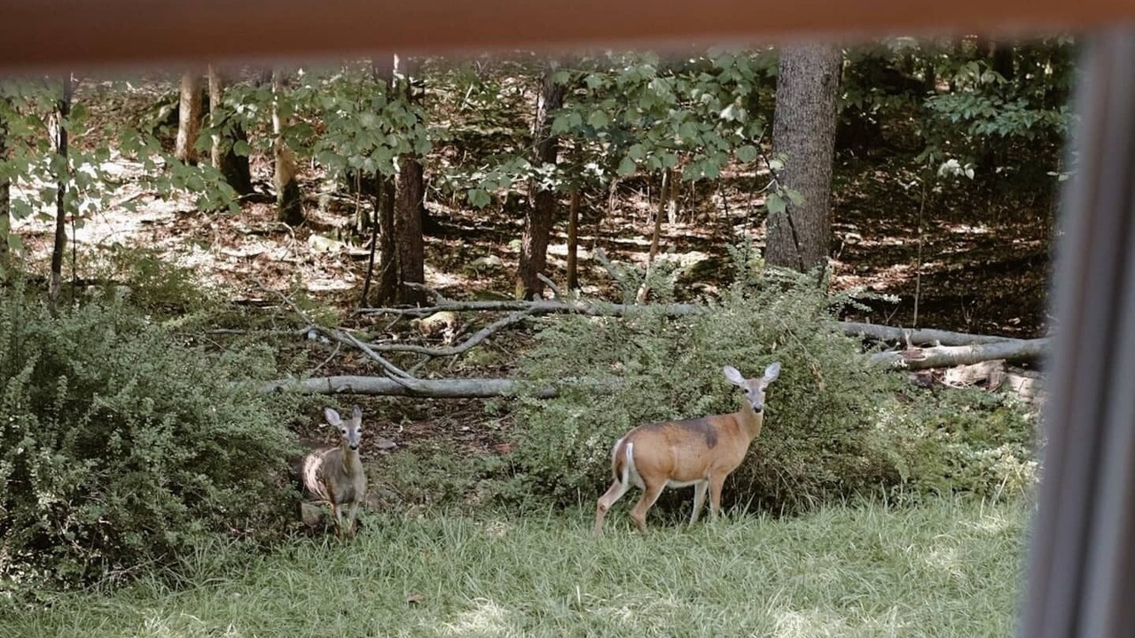 Photo of Others in Smallwood