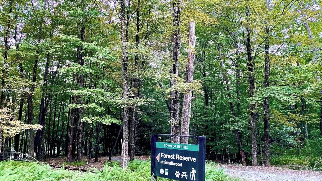 Photo of Outdoor in Smallwood