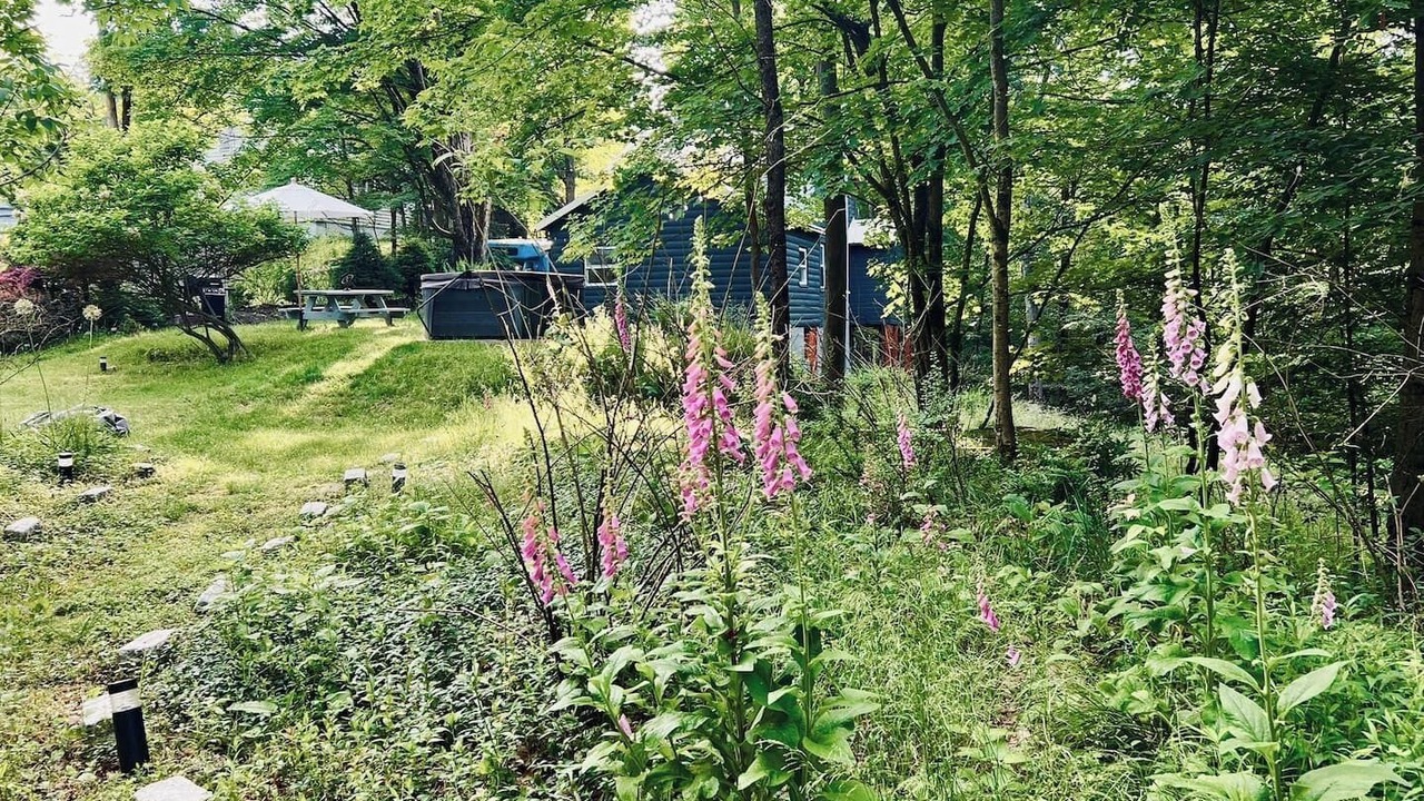 Photo of Others in Smallwood