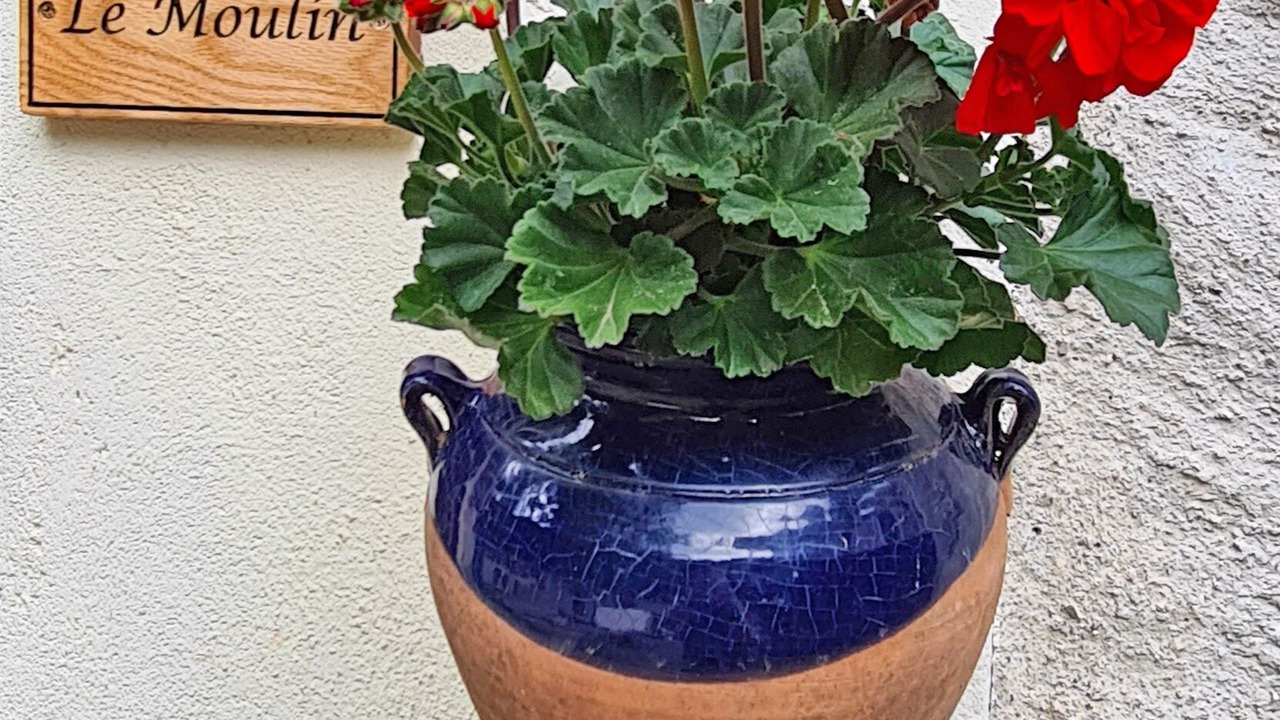 Photo of Outdoor in Caunes-Minervois