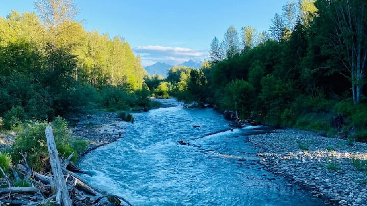 Photo of Bedroom in Sequim