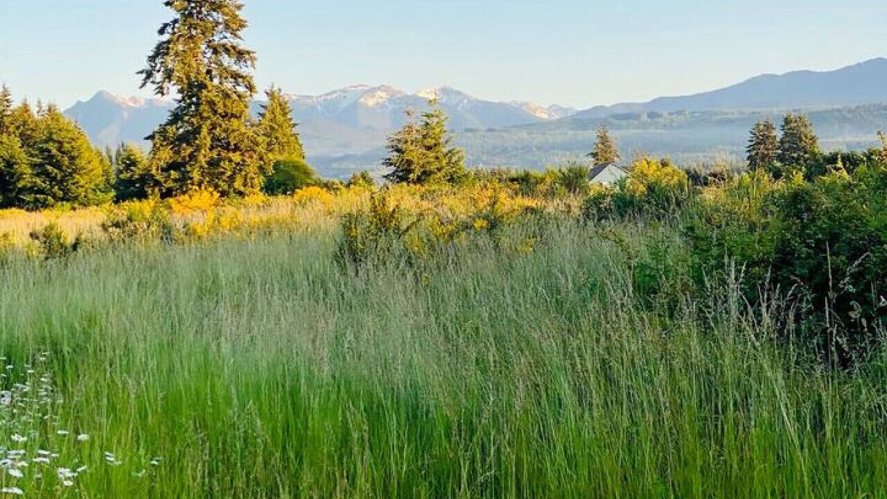 Photo of Bathroom in Sequim