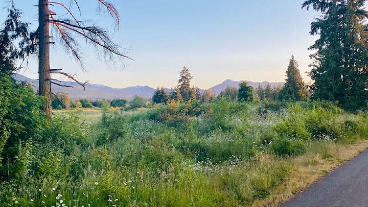 Photo of Others in Sequim