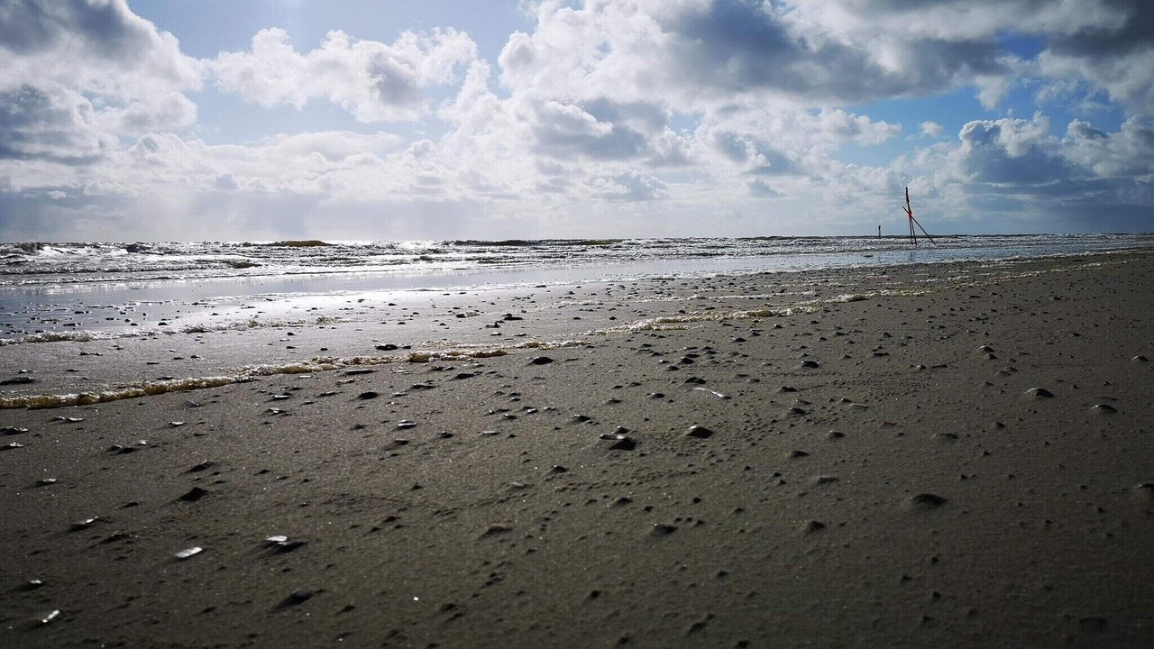 Photo of Others in Blavand