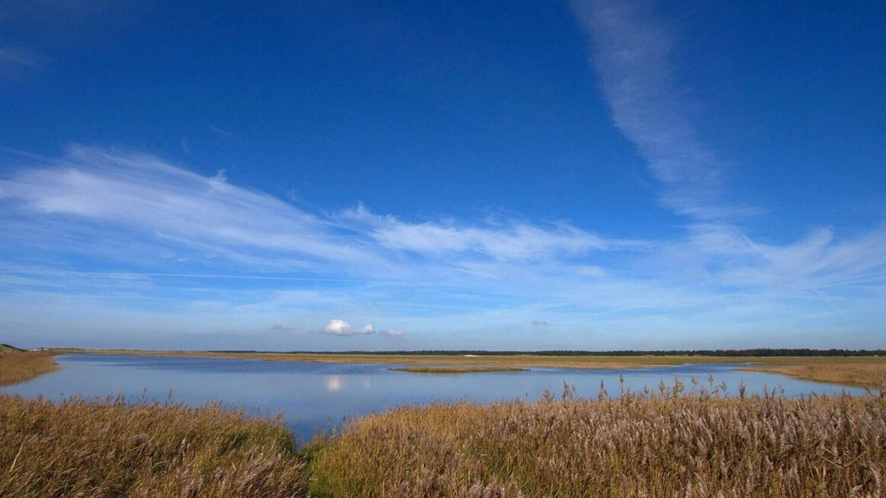 Photo of Others in Blavand