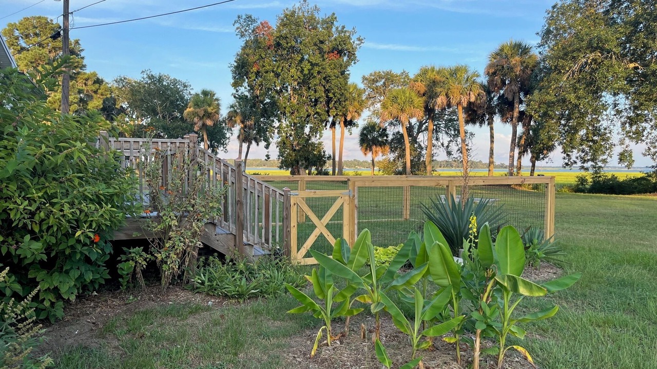 Photo of Outdoor in Port Royal