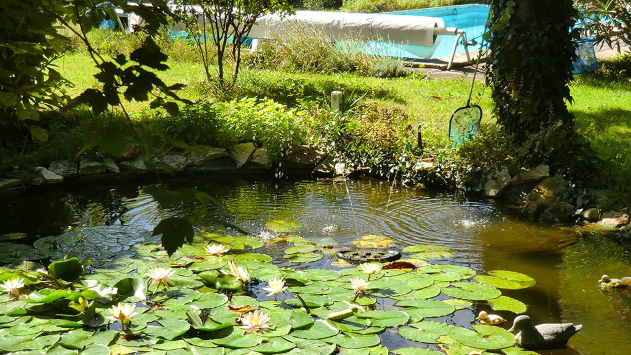 Photo of Outdoor in Villepinte