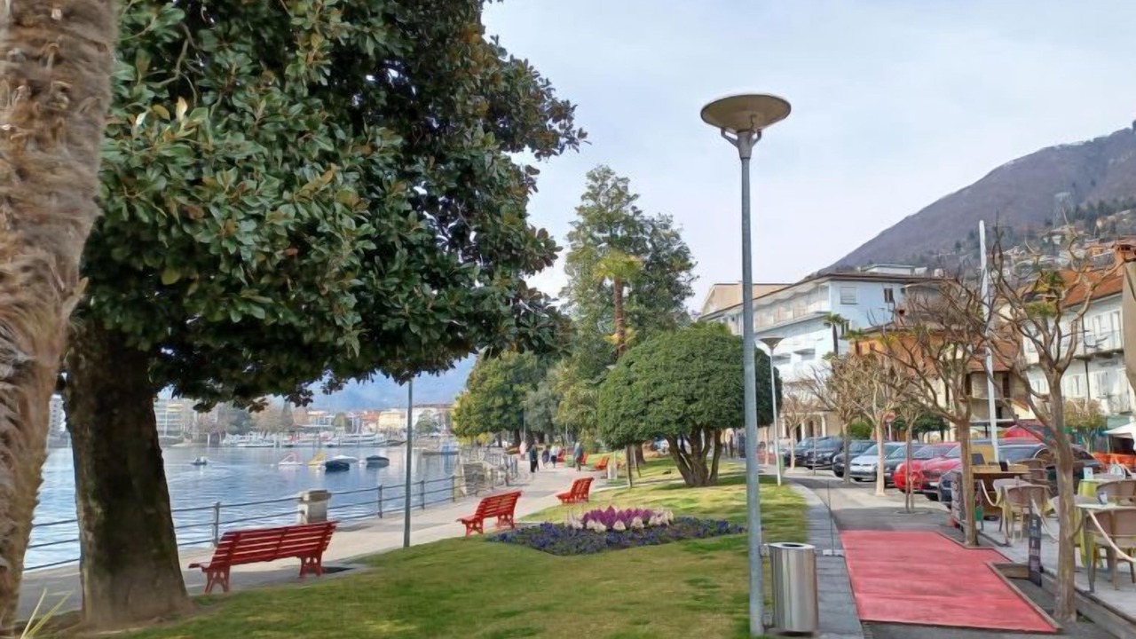 Photo of Others in Muralto