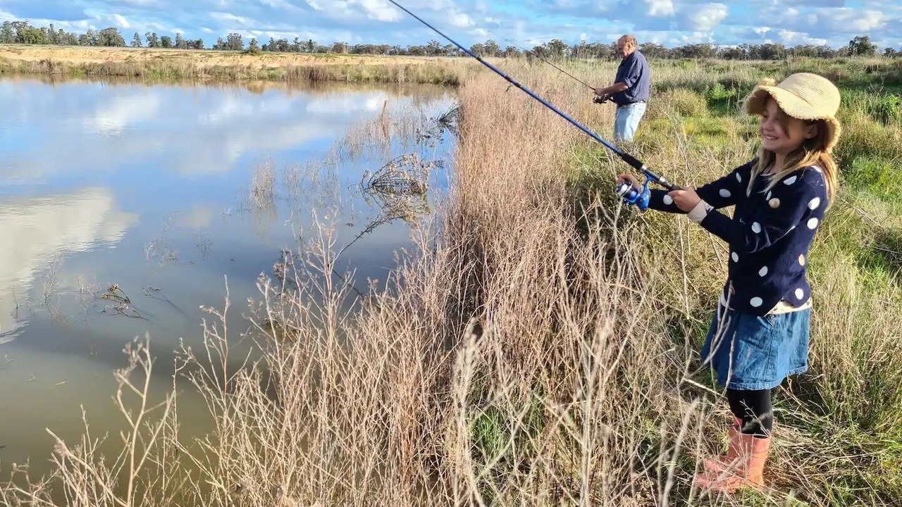 Photo of Others in Narromine