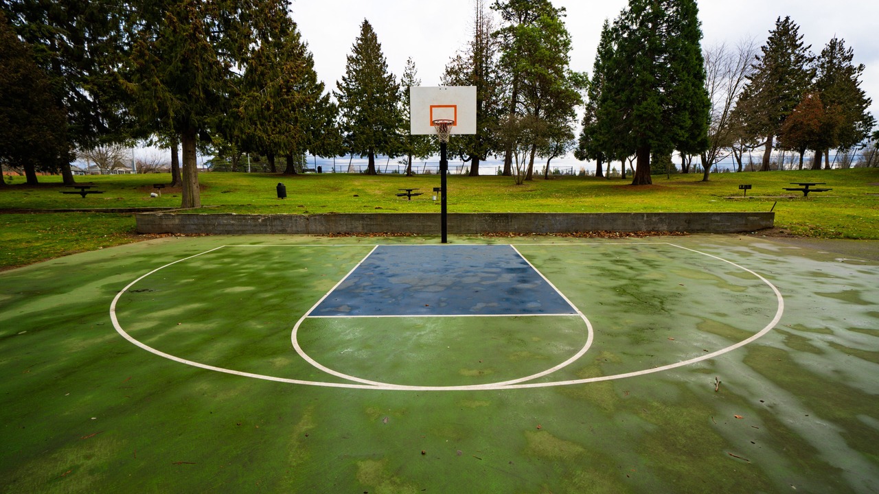Photo of Others in Seattle Metro Area