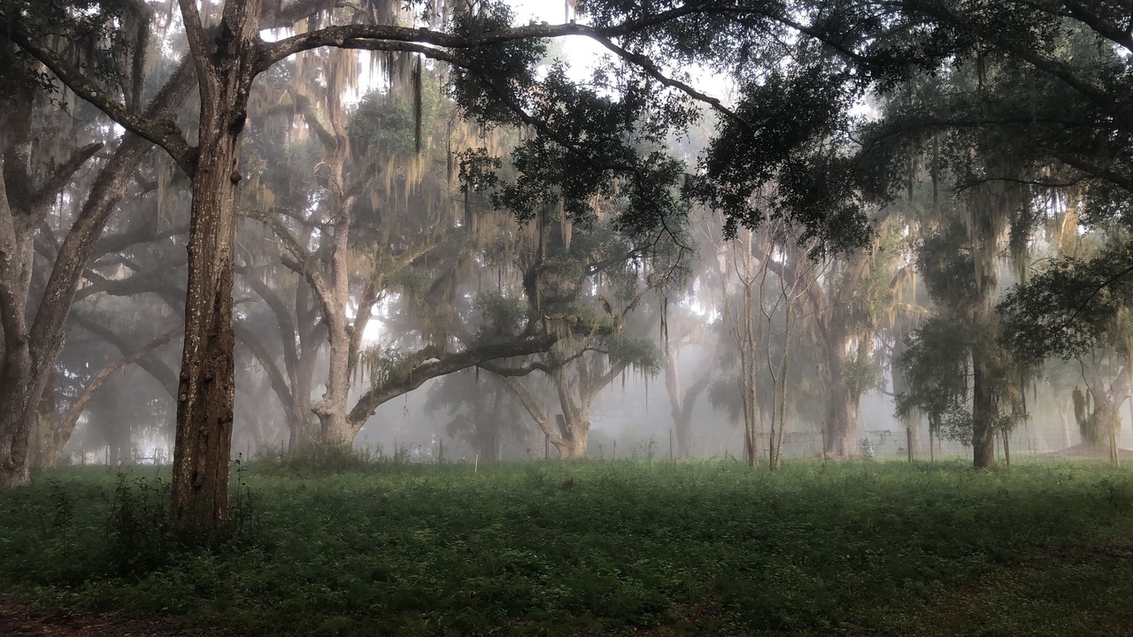 Photo of Outdoor in Glenwood