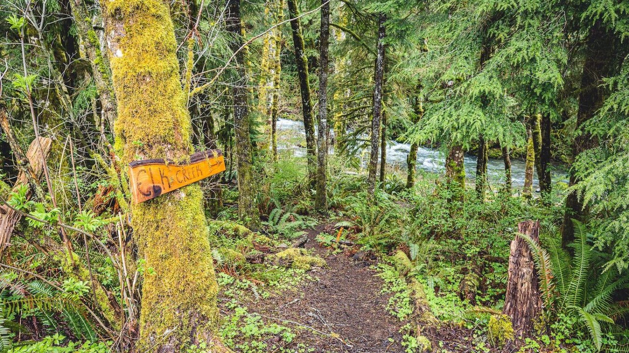 Photo of Others in Forks