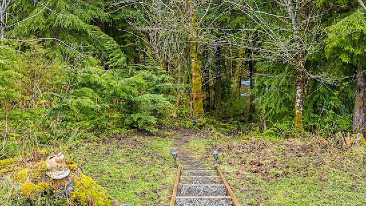 Photo of Others in Forks