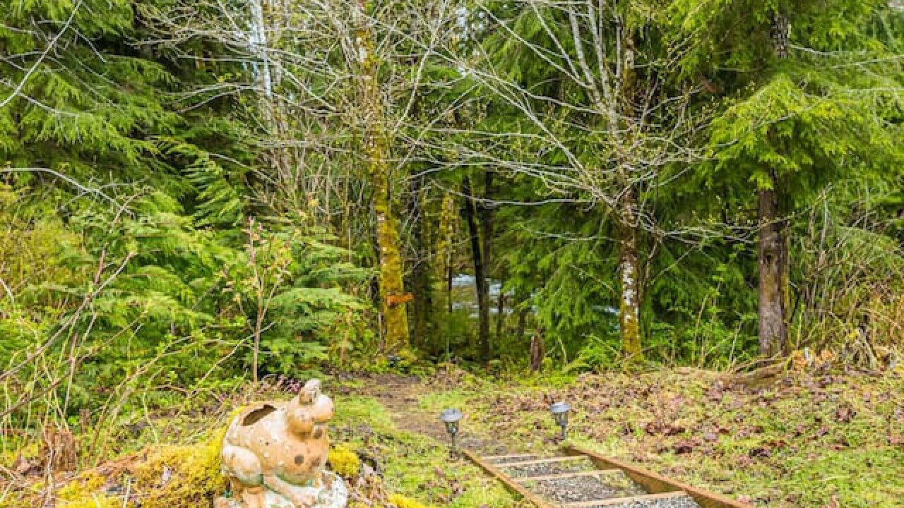 Photo of Others in Forks