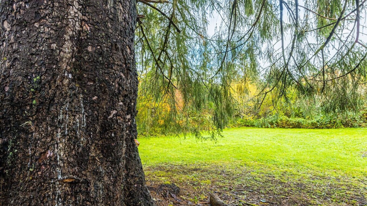 Photo of Others in Beaver
