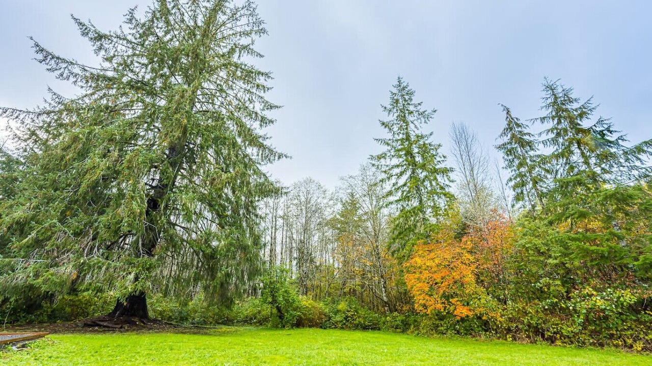 Photo of Others in Beaver