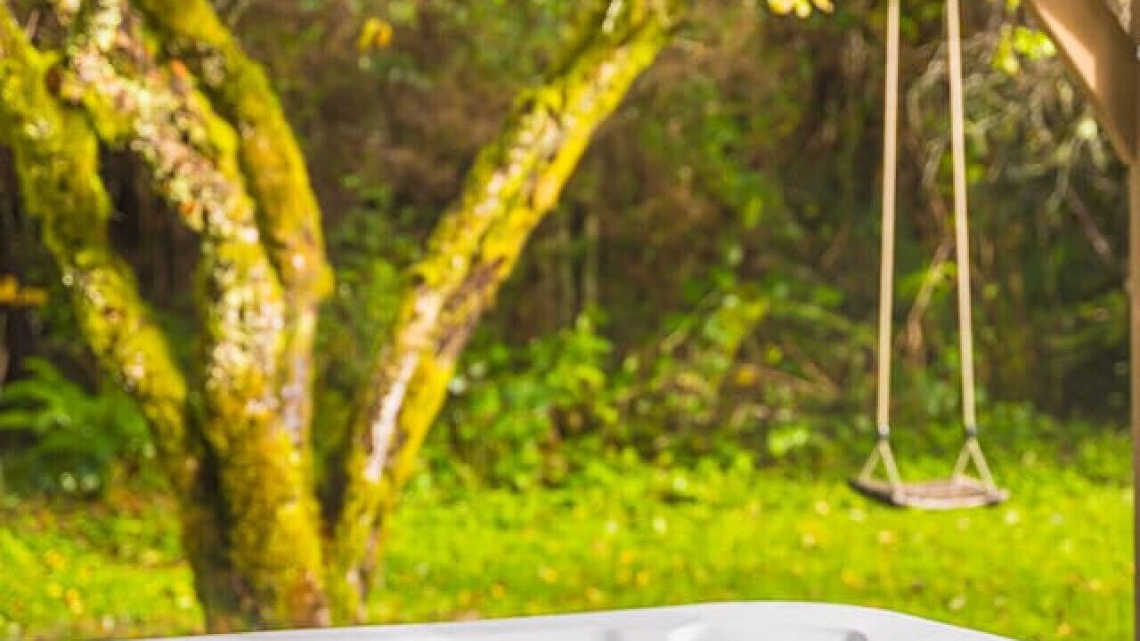 Photo of Others in Beaver