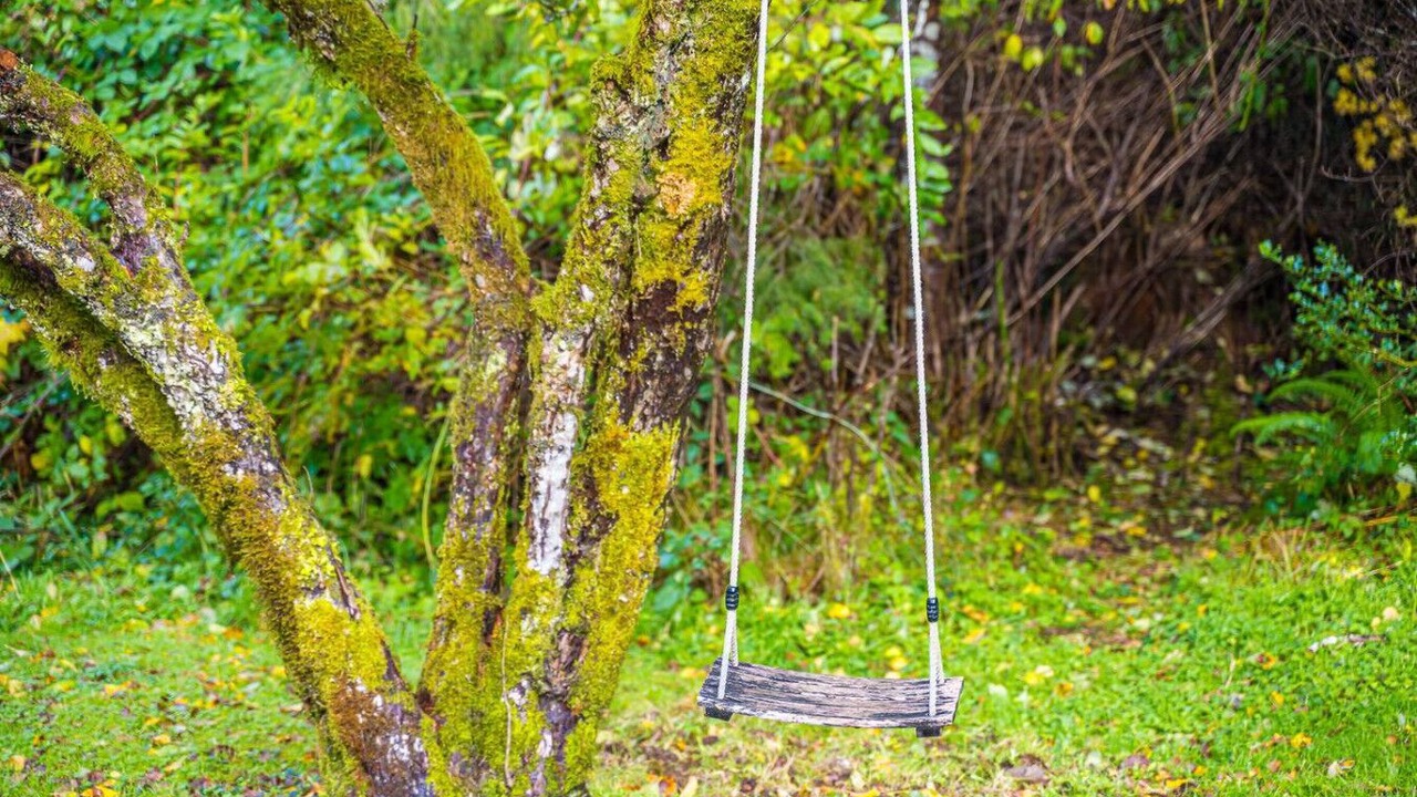 Photo of Others in Beaver