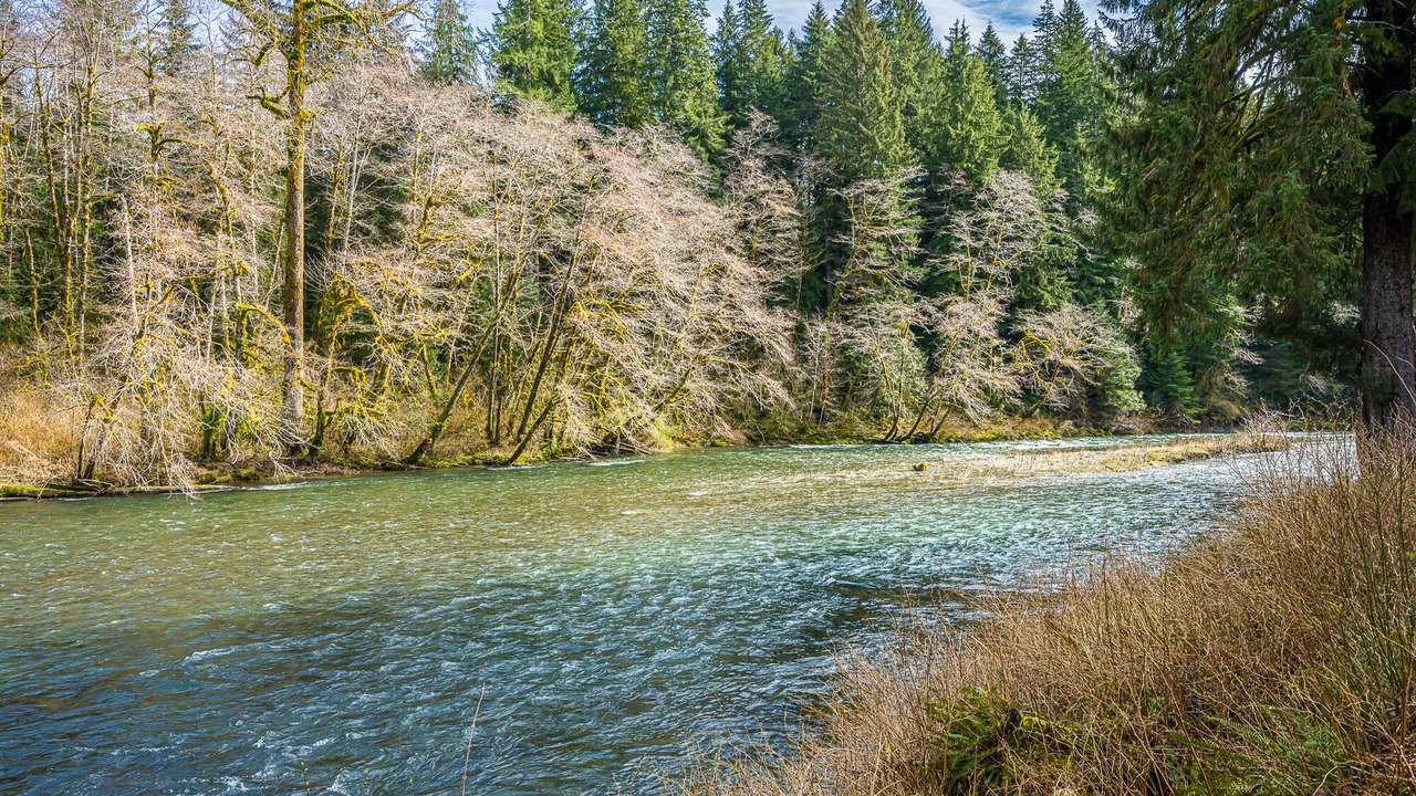 Photo of Others in Beaver