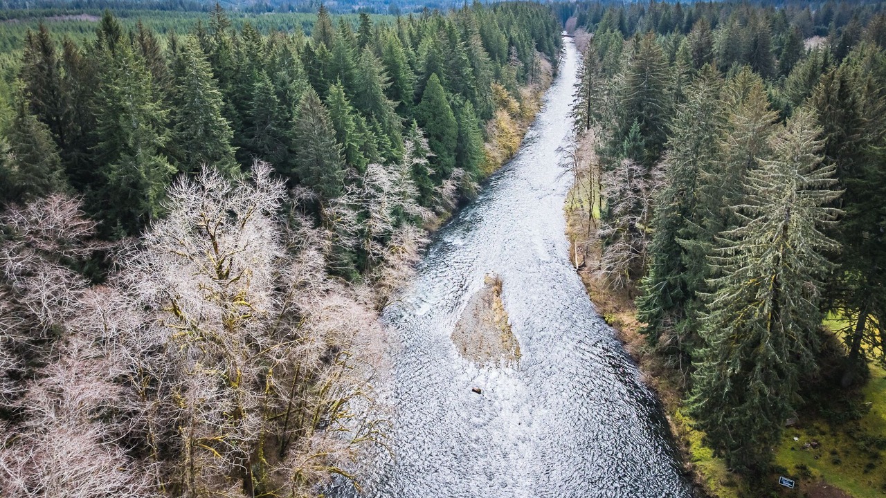 Photo of Outdoor in Beaver