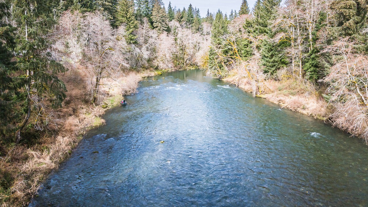 Photo of Others in Beaver