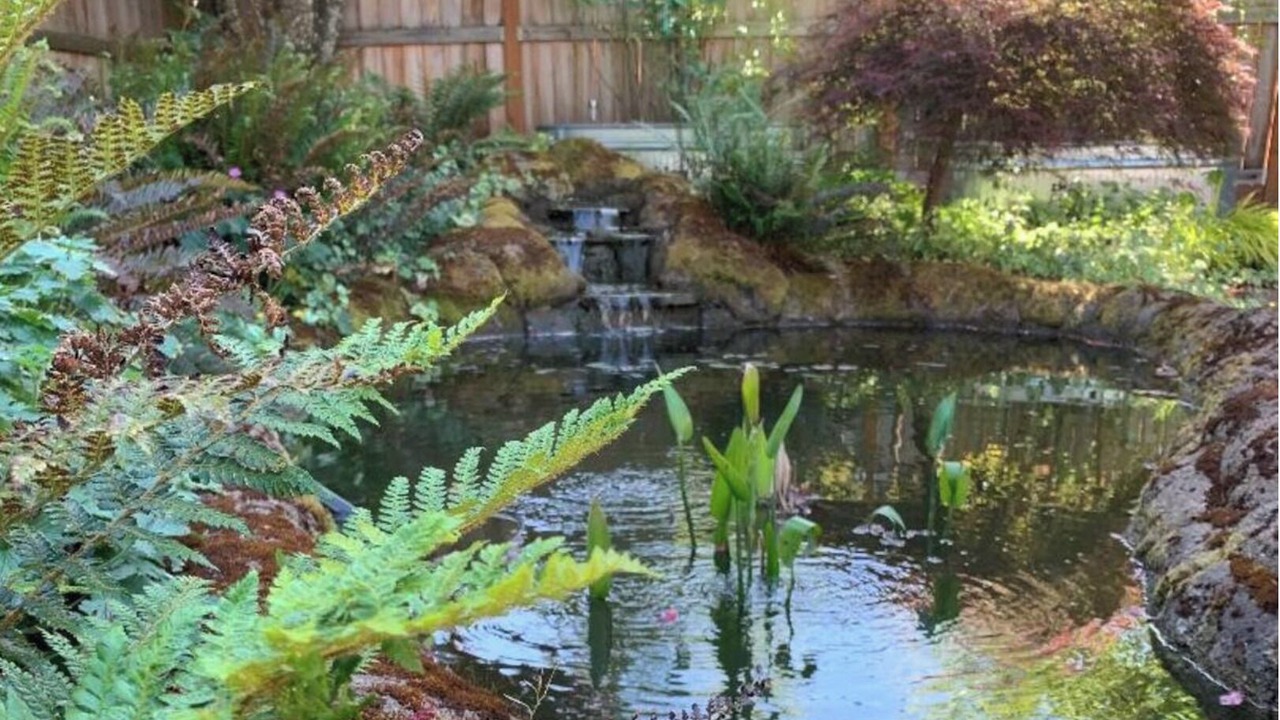 Photo of Outdoor in West Eugene