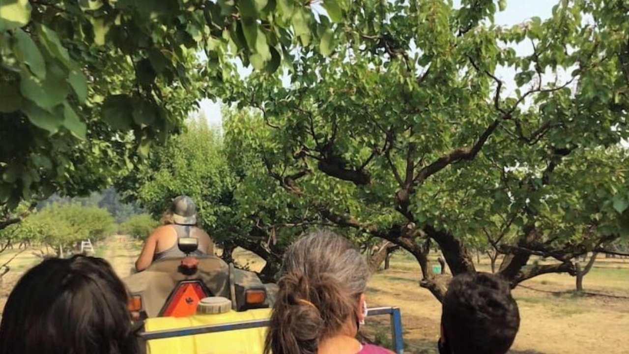 Photo of Others in Colbert