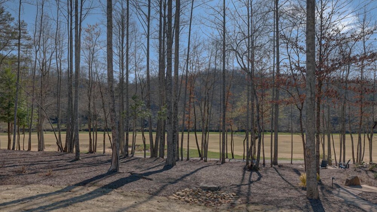 Photo of Others in Mineral Bluff