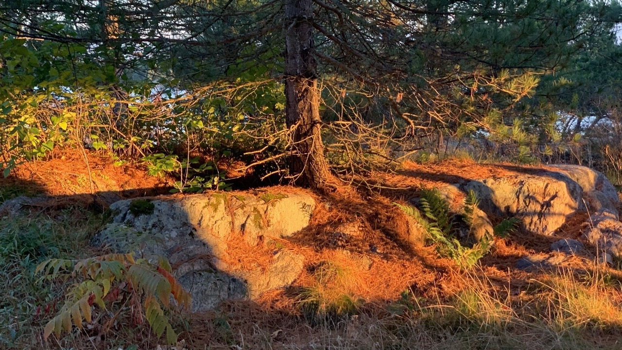 Photo of Outdoor in Byng Inlet