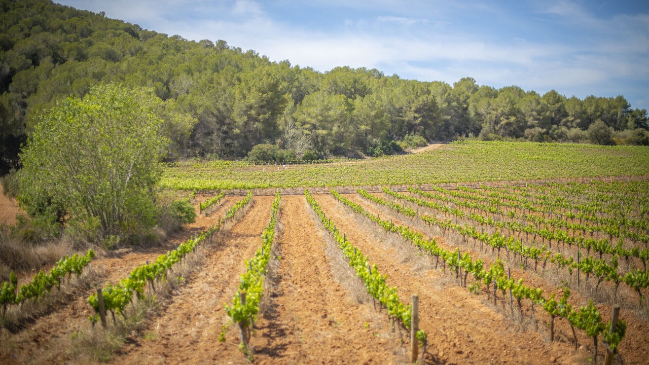 Photo of Others in Calafell