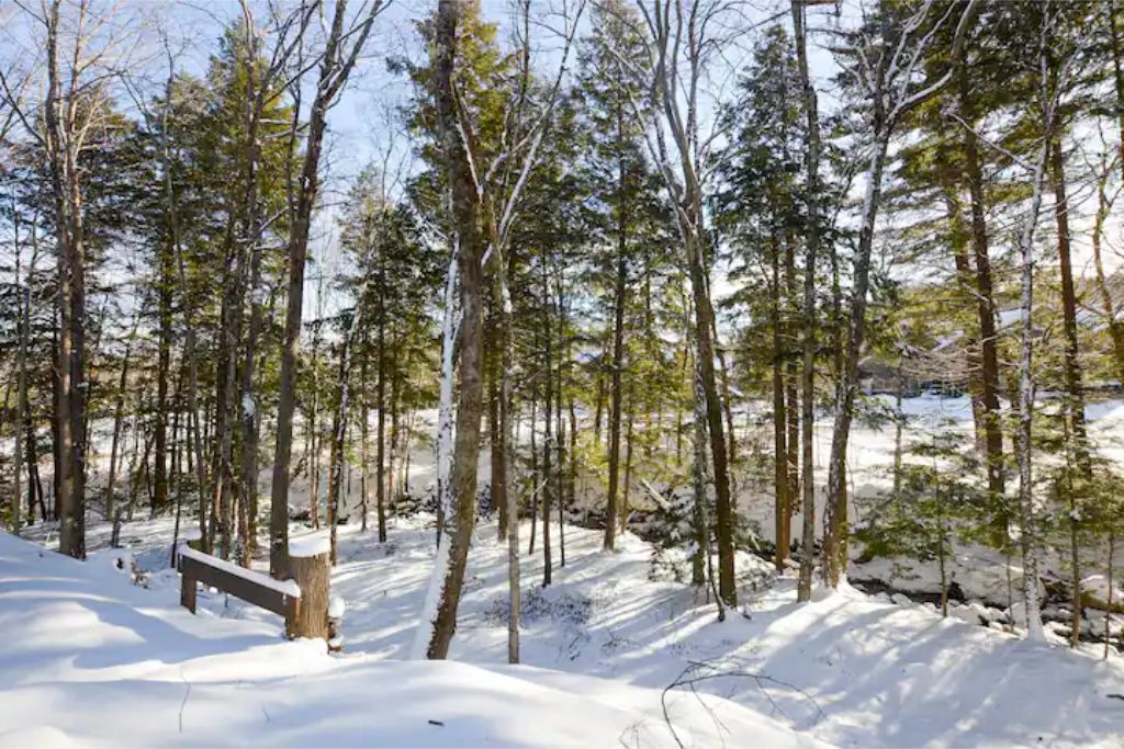 Photo of Others in Plymouth