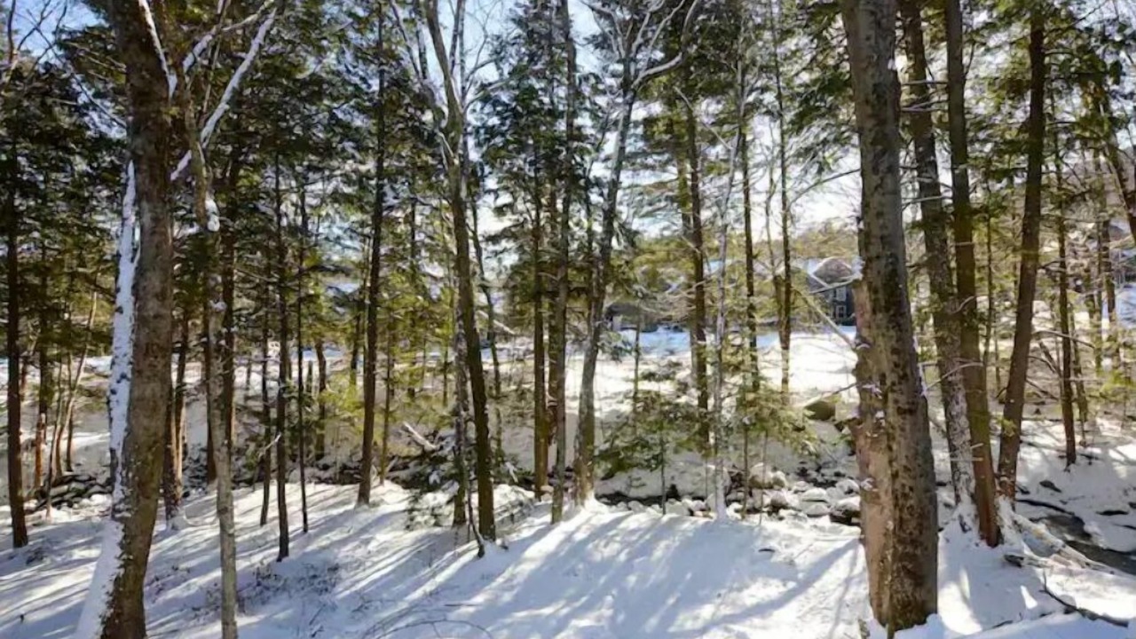 Photo of Others in Plymouth