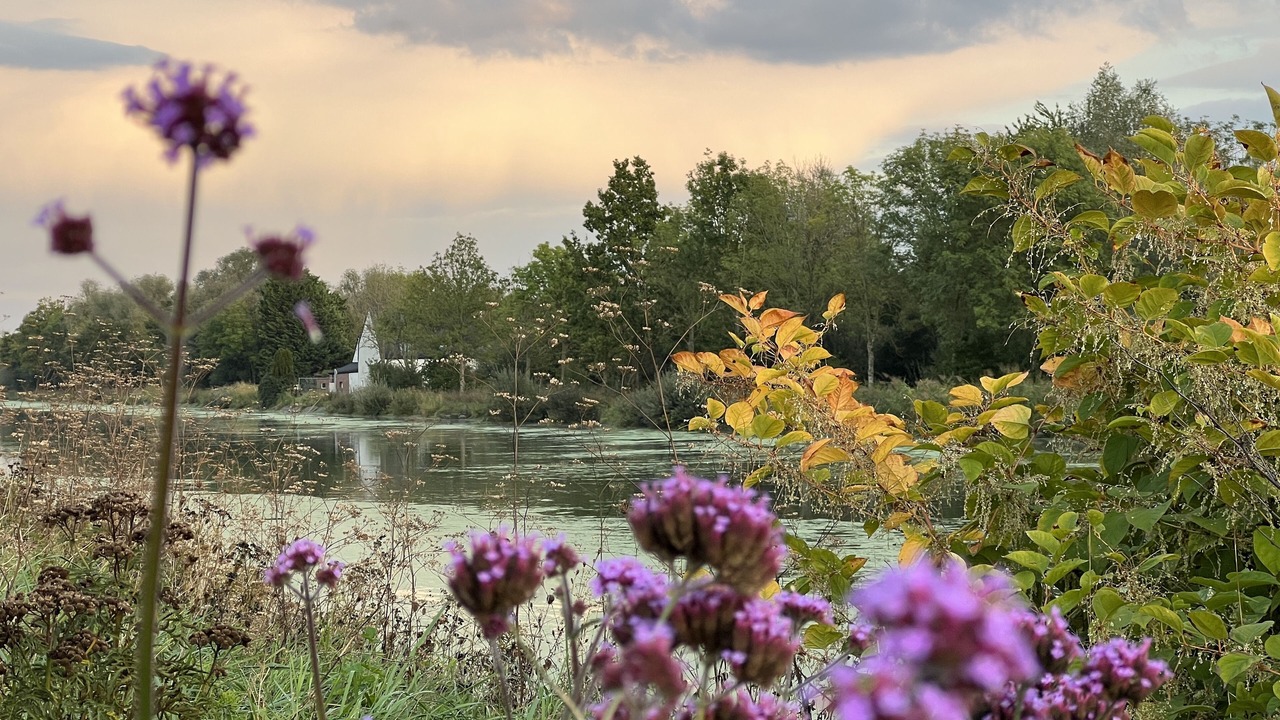 Photo of Others in Mont-Bernanchon