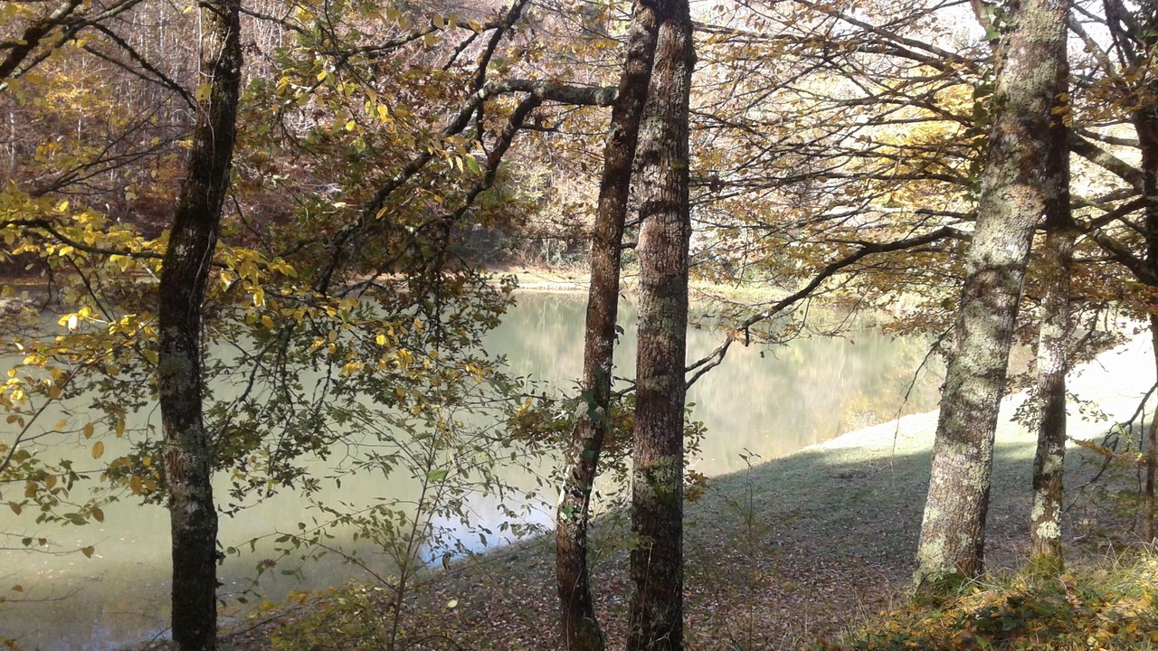 Photo of Outdoor in Maurens