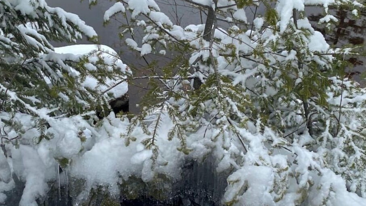 Photo of Others in Lac Beauport