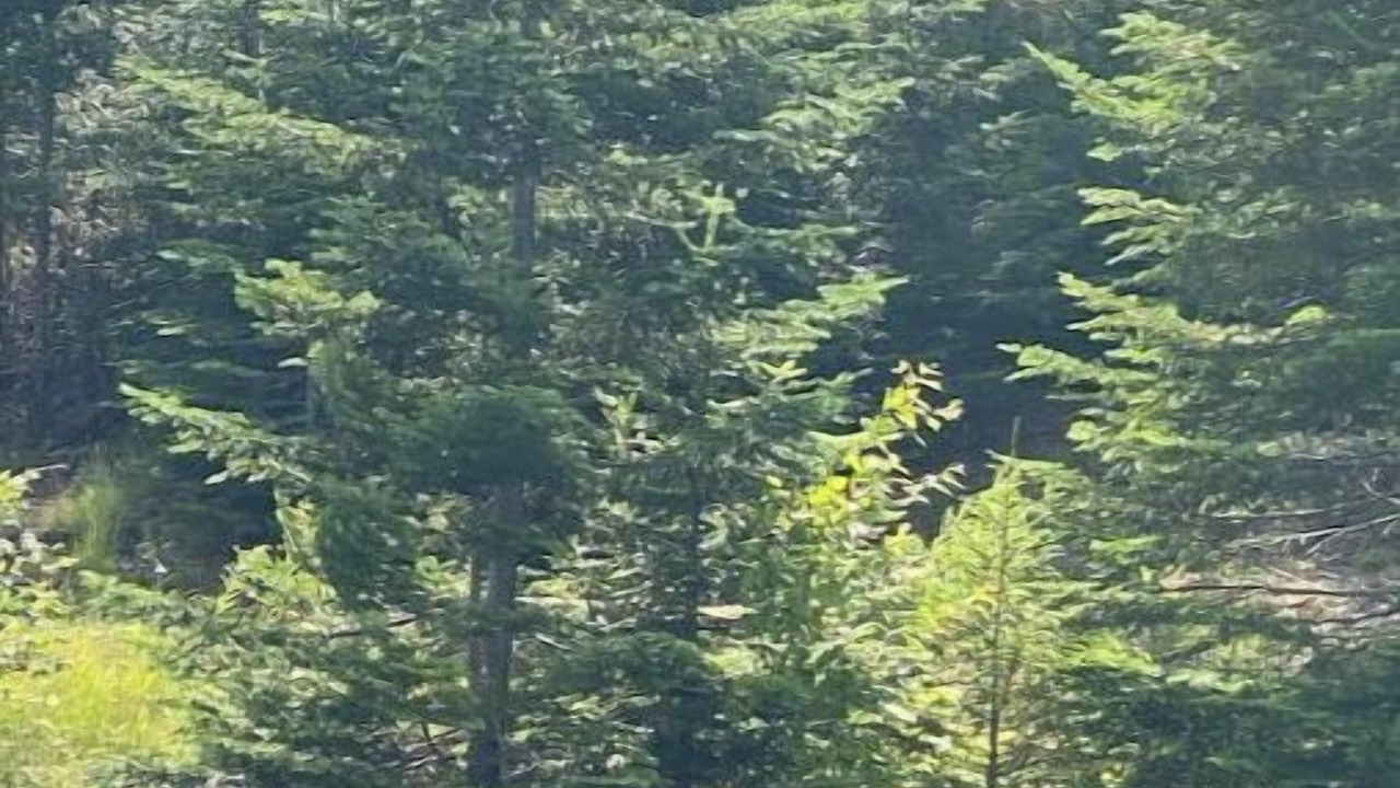 Photo of Others in Lac Beauport