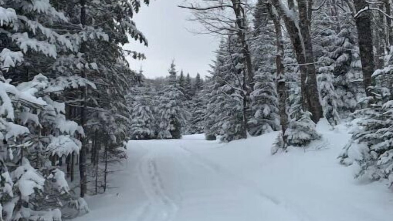 Photo of Others in Lac Beauport