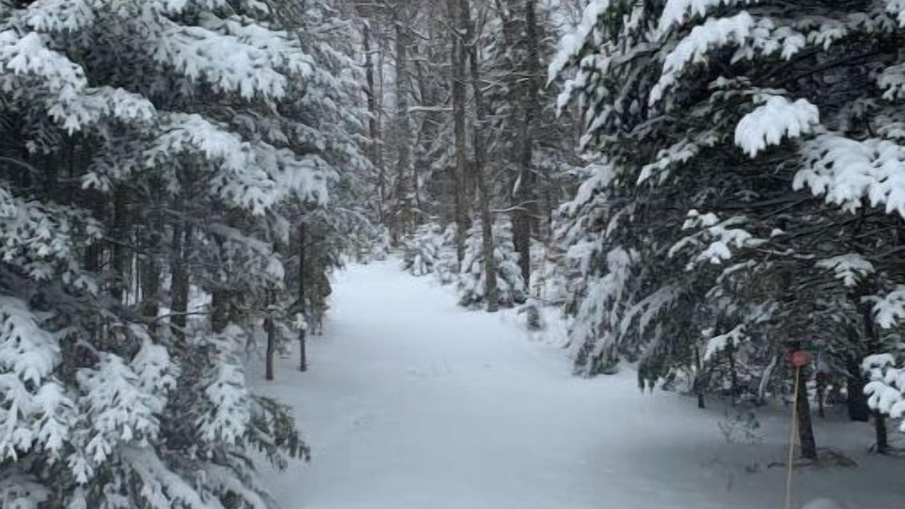 Photo of Others in Lac Beauport