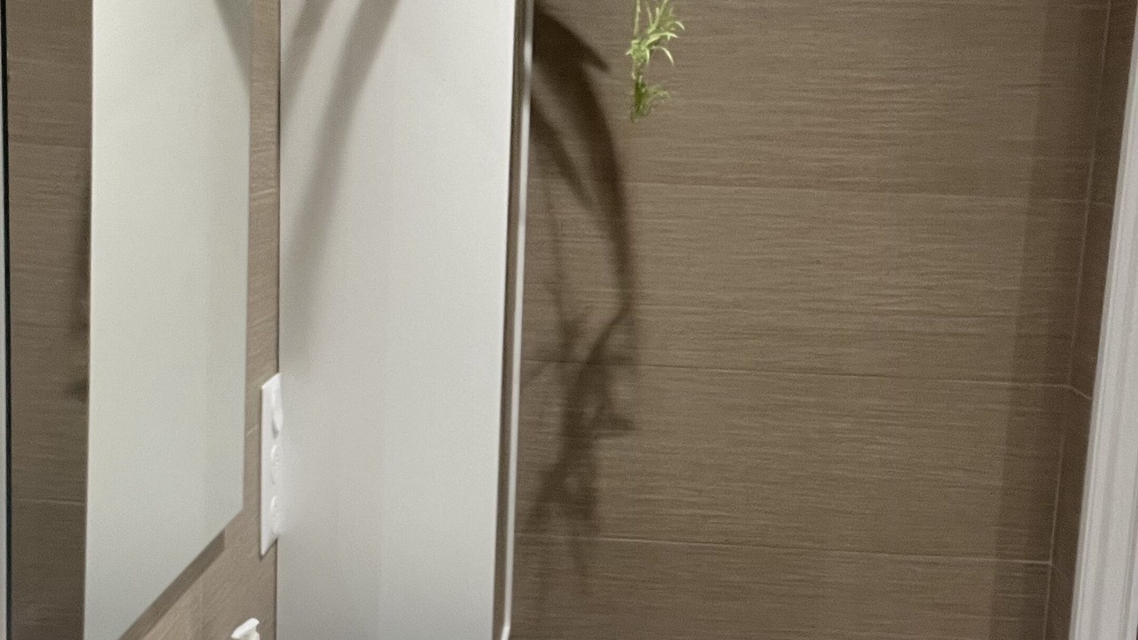 Photo of Bathroom in Venoy