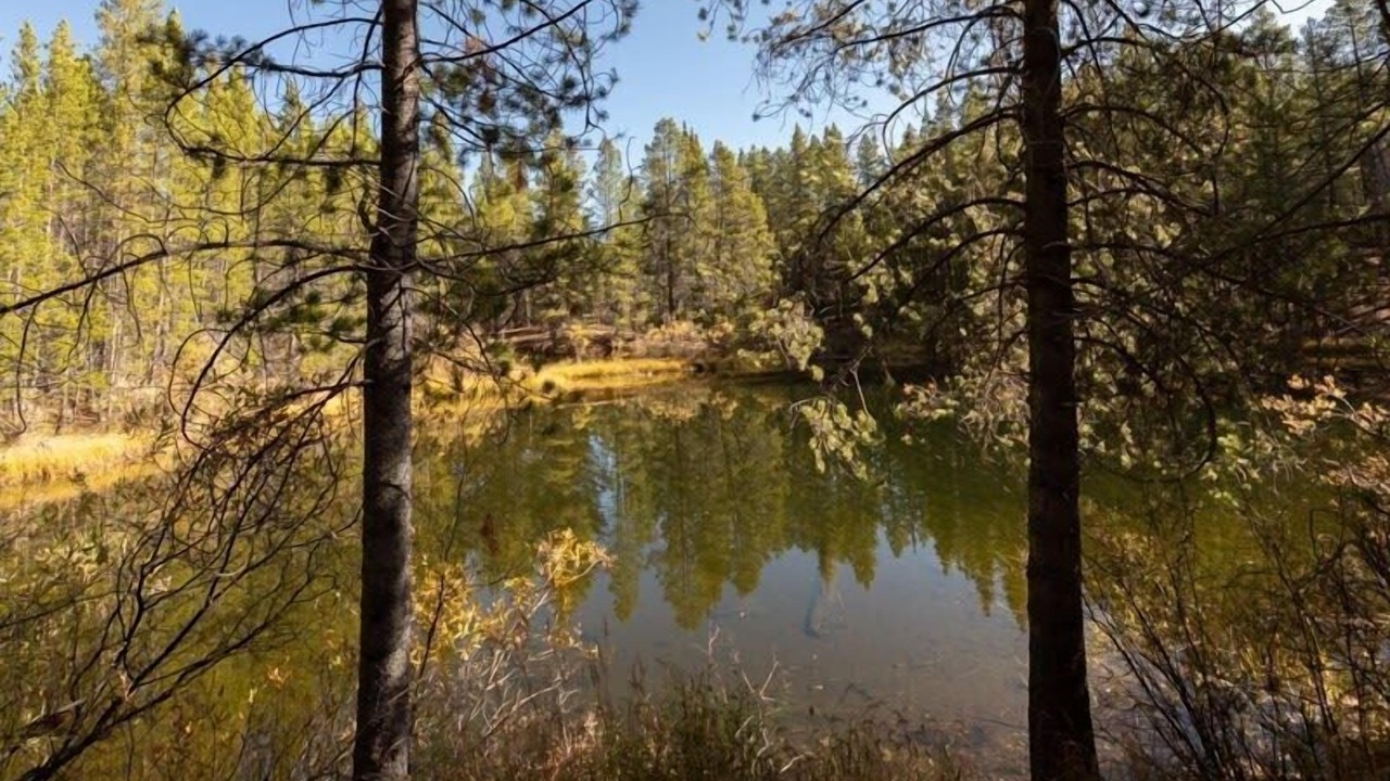 Photo of Outdoor in Leadville