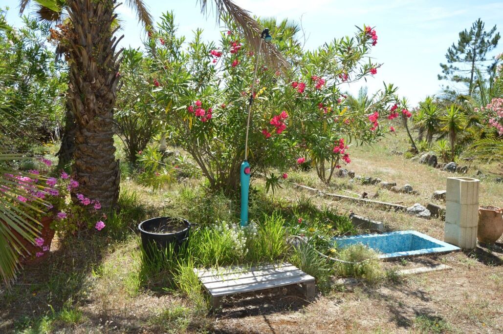 Photo of Outdoor in Taglio-Isolaccio