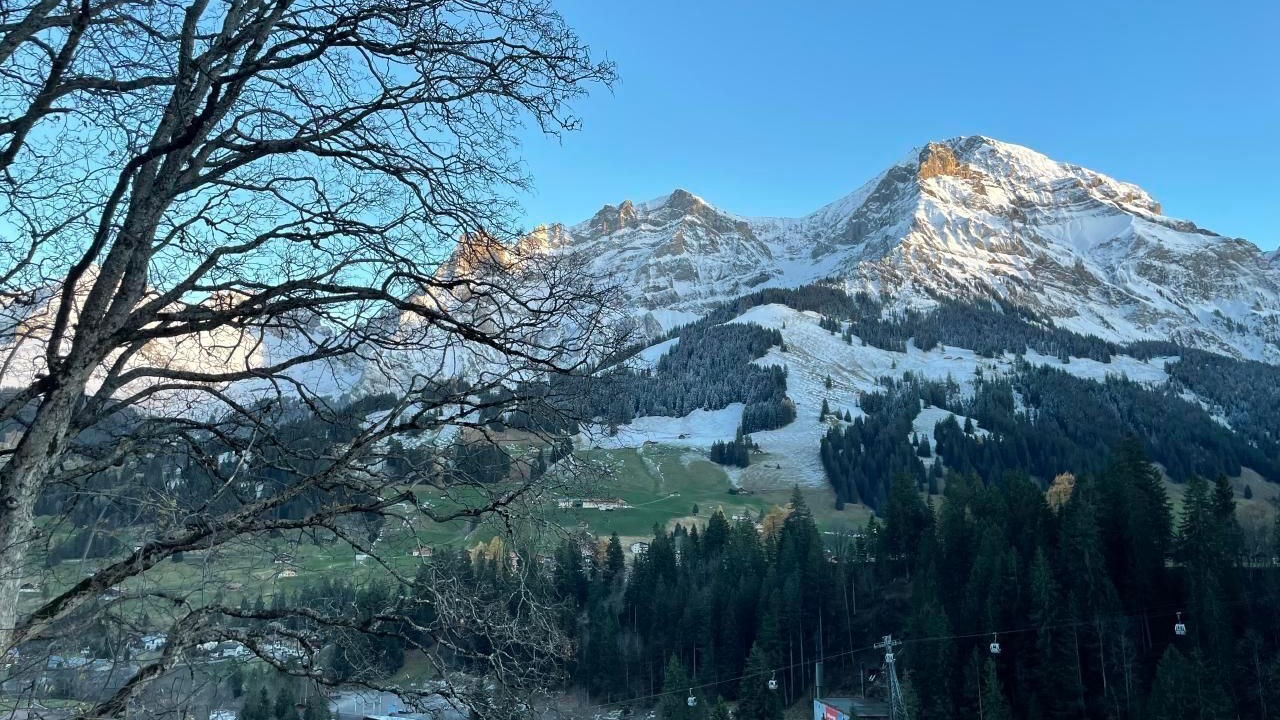 Photo of Others in Adelboden
