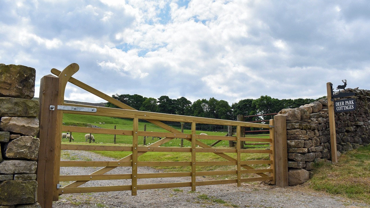 Photo of Outdoor in Fremington