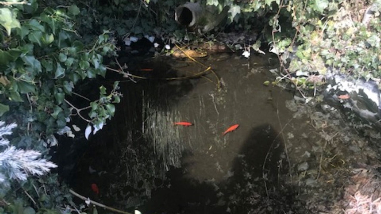 Photo of Outdoor in Juvinas