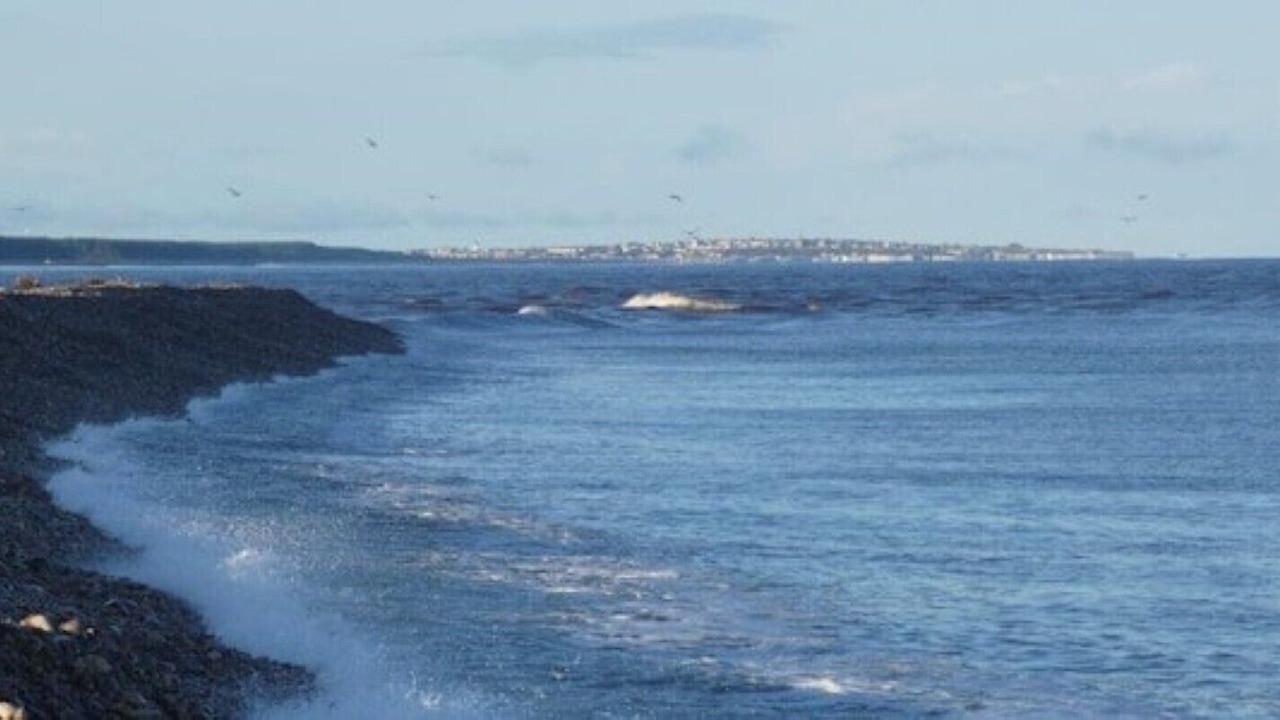 Photo of Others in Fochabers