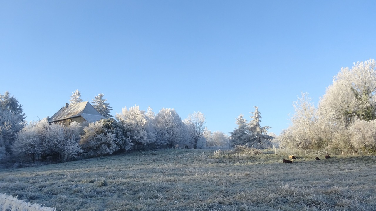 Photo of Outdoor in Biol