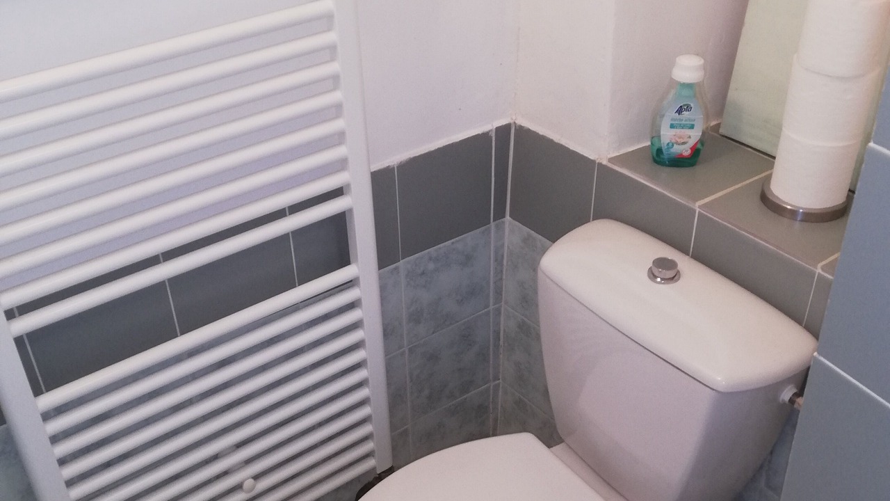 Photo of Bathroom in Biol