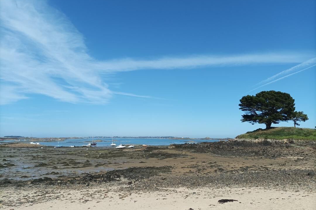 Photo of Others in Lanmodez