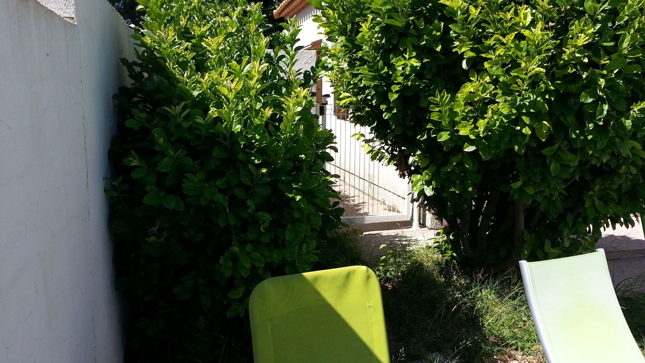 Photo of Outdoor in Nizas